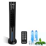 Taylor Swoden Climatizador evaporativo 3 en 1 depósito de agua 6L y mando a...